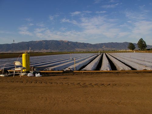 Drip irrigation application