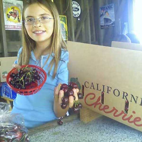 Child holding a box of California cherries